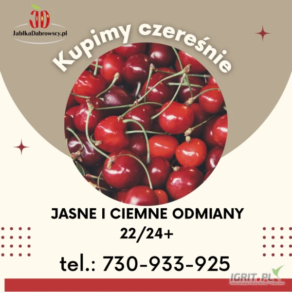 /images/posts/2025/06/2024368/RC2oOOQ47KlCm5b5ZbMhwsDEQBDJuBY7NmUL7QAp.jpeg