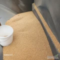 Kukurydza  cerwona  200 tun.1200zlt/tunaPsenice konsumcyjna 200 tun.950zlt/t.
