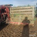 Sprzedam 100 skrzyń do pora