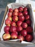 Sprzedam 10 skrzyń Szampiona, 10 skrzyń Ligola i 10 skrzyń Empajera z KA + fresh. Naszykuje w uniwersalki lub za wagę w skrzyni. 