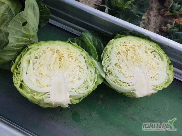 /images/posts/2025/06/2024405/t974oltjEIR6MaPQxpiWN0yzlR8peQdvknEZ9dfH.jpeg