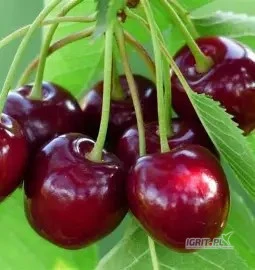 /images/posts/2025/06/2024606/lPuBajltiru3hsL16otx3xweWApEs581DHUSze69.jpeg