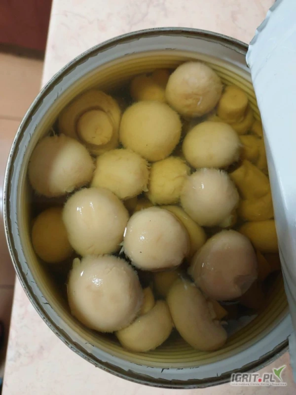 /images/posts/2025/06/2024659/upTyDVraxinnjYHRJO2mQ6472UgZxSaY5oA9AlVM.jpeg