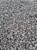 Sprzedam burak czerwony zeepo kal 5-12 około 50 60 ton