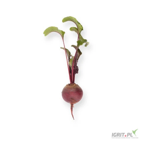 /images/posts/2024/07/1883211/T78qh3646Wi4iVkstUV1ai0nLYcLVYBMhGwfpRjZ.jpeg