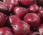 Sprzedam buraka ćwikłowego jakość marketowa ilości calosamochodowe. Odmiana monty, certyfikat integrowanej produkcji. Możliwość...