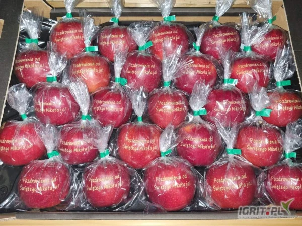 /images/posts/2024/11/1938077/3X6IzbwoDqk0oEDNtI06cyFcxEsNkS1Wn0tFwKNJ.jpeg