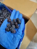 Witam, oferuję do sprzedaży owoc Borówki mrożonej . Możliwość przygotowania towaru pod klienta . Zapraszam do kontaktu i zakupu .&nbsp;