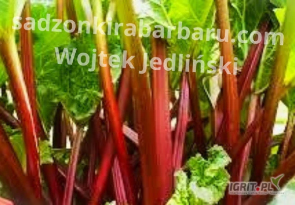 /images/posts/2025/03/1988037/82VdIiMFJJruGMOgDUR3aLPTtoCMVA0j4GS7cNON.jpeg