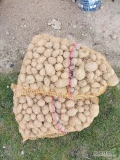 Sprzedam ziemniaki paszowe drobne pakowane po 15 kg ok 100 worków 5 zł za 15 kg 