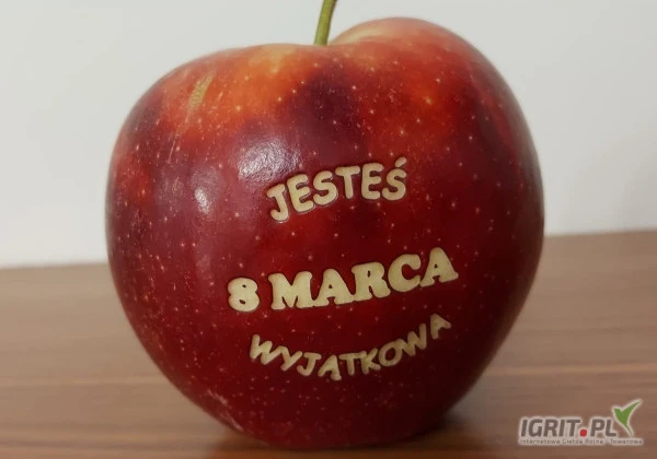 /images/posts/2025/02/1977566/XLezmgrFoIUxjcHKy5fDxwNMdMzWRcvUuFcljBz0.jpeg