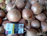 Cebula z siewu wiosennego,sucha ,po koszu przyjeciowym,nie fazerowana.Na worek lub obieranie .Nie porażona chorobami ,odmiana do...