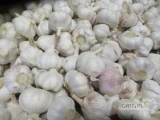 sprzedam kosze egipskie 5kg. 
