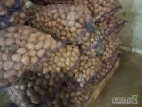 Sprzedam ziemniaki odmiany Denar, wielkość sadzeniakowa. Aktualnie 660kg. Cena 1zł/kg.