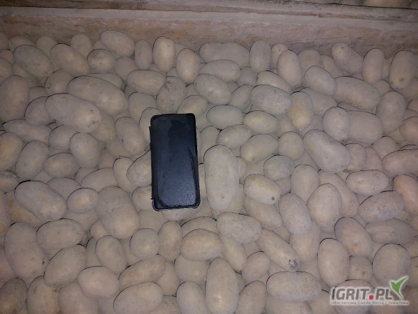 /images/posts/2025/04/2000845/gVldBoDdFBbzdQigDYNd1n1RgCrxF237dEBFip9l.jpeg