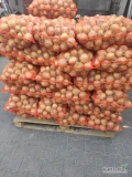 Cebula żółta worek 15kg .

