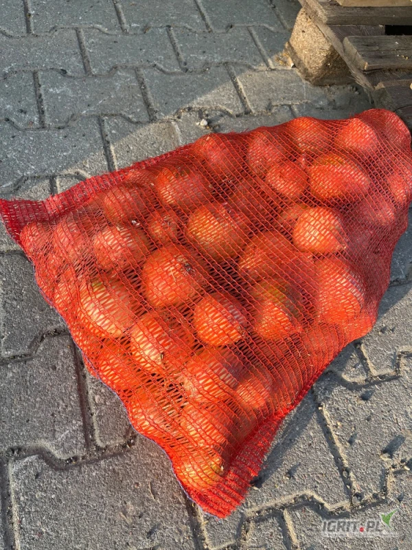 /images/posts/2025/06/2025297/MG72bzQDDtVI4XXcqua9hjzovamKmkMxwOBKxrjU.jpeg