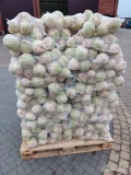 Witam sprzedam seler kaliber i od 0.5 do 1.5 kg myte po szczotkarce.