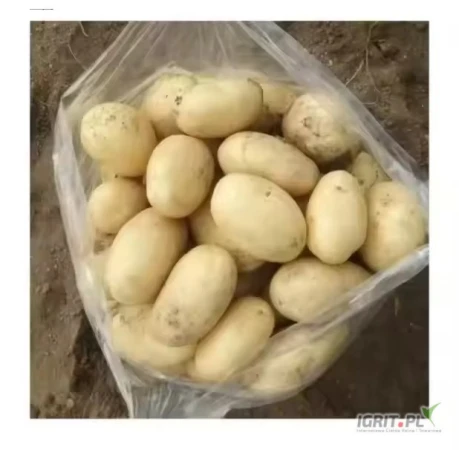 /images/posts/2025/06/2025369/w3joJyk5g1DBIWzKYHU12f5IdsTyX9PYv6n8gHTp.jpeg