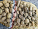 Sprzedam tone ziemniaka w workach po 15kg drobny, ręcznie odebrany, bez zanieczyszczeń, bardzo ładny suchy tel. 507926421