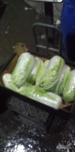 /images/posts/2025/02/1975196/k1KskvlDlyCsvoDZrKDpsXs2rKgs1J89B9KgUKG3.jpeg