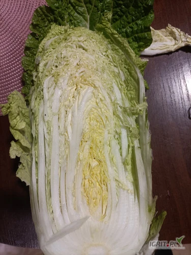 /images/posts/2024/12/1945450/uo6jodnkmbK5zdEYZGe2AqmDEylFMXOiUHjJ5mCs.jpeg