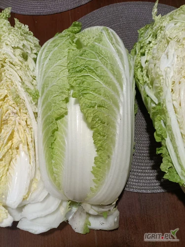 /images/posts/2024/12/1945450/2fJkPzesmF1GmEXQUIWDs0GFLS7j3RbUUms0fezX.jpeg