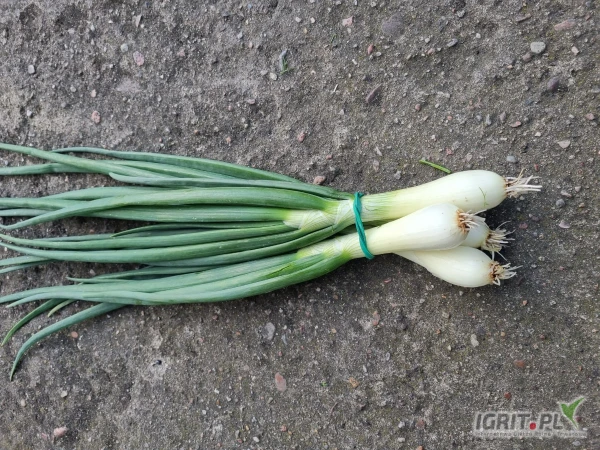 /images/posts/2025/05/2013986/NcDf01Zl0WGJRkfKLPeh7v5rhY6zuJTmoaoYqrhl.jpeg