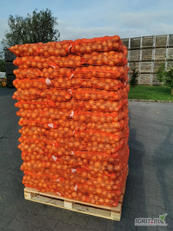 /images/posts/2025/06/2025929/1roAWoFJzHlsT2vlImkdVxhMSv2YbiQp7qZAk4qx.jpeg