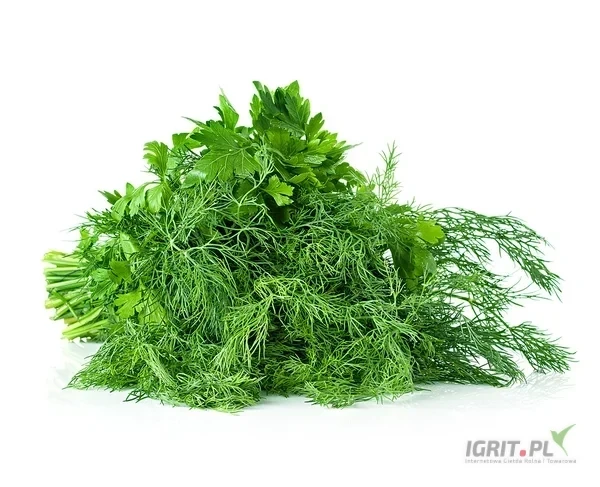 /images/posts/2025/03/1988220/7lrdWkLvlSULkXgaVyo6O0JLyz4IKh6DRvwxwSiq.webp
