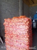 Sprzedam cebulę podsuszana worek 10 lub 15 kg ładna jasna kaliber 5-8