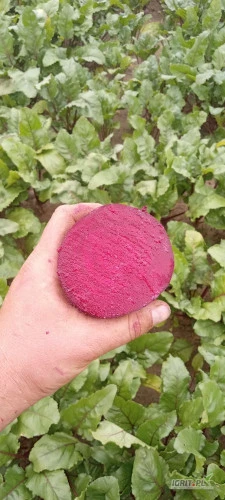 /images/posts/2024/07/1878822/iRWuKyK4PMTrzbKXSK1BXhdHGHOUjsUcAlpX1KHx.jpeg