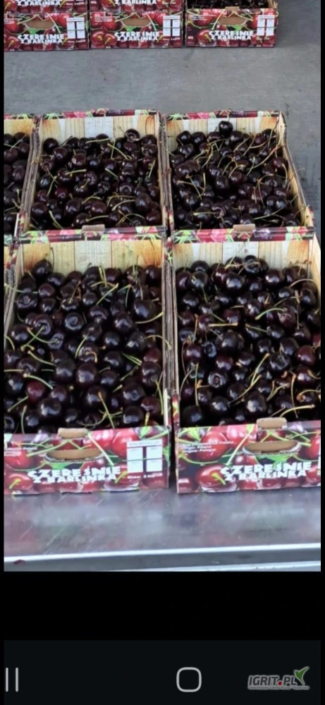 /images/posts/2025/06/2026375/mv5kpAC2xZx6N6GGXF2UfeypEbDhW7R0j69svghu.jpeg