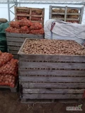 Ziemniaki paszowe , duża ilość . Przygotuje w big bag , skrzyniopalety lub worki 15 kg . Możliwość dowozu 