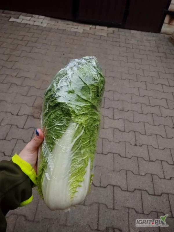 /images/posts/2025/05/2014320/7us3V4miHjcXc5E4Htrdnzd6YHnJTKPvHBatZRrM.jpeg
