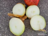 Cebula luz gruba Turcja- na obieranie -świeża dostawa Warszawa