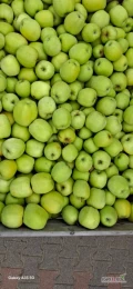 Sprzedam Mutsu po lekkim gradzie