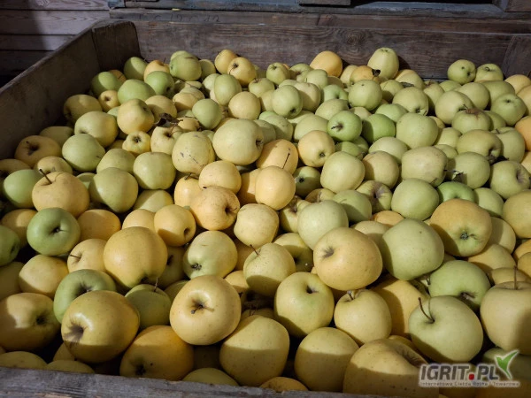 /images/posts/2025/02/1975457/GFP2YjNgGlvep2HbymVSenhRjrWhCG4E4VGGCvoz.jpeg