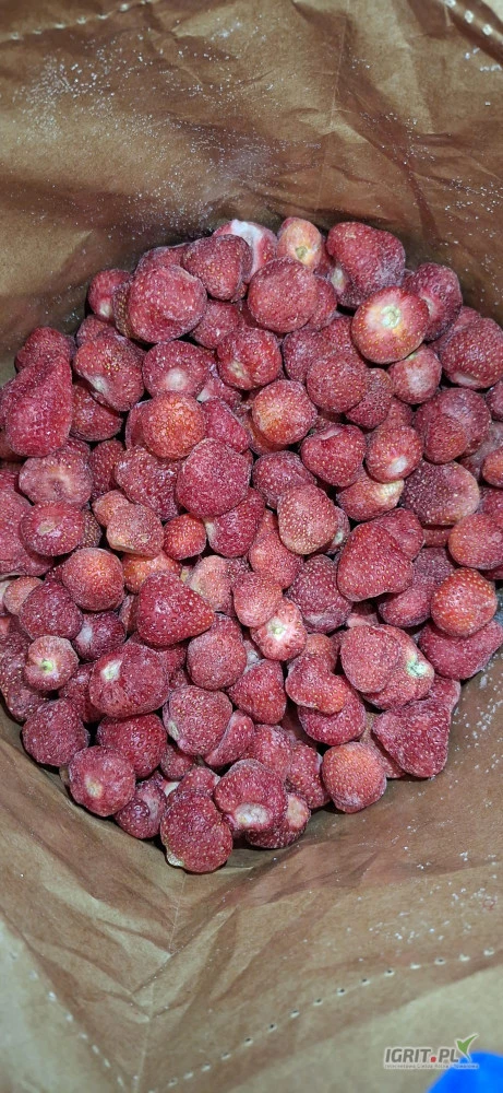 /images/posts/2025/06/2026782/ztu8y9Ev8qatOe0QKPLXrHnqbepWVg822nUCPfN4.jpeg