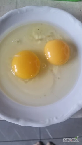 /images/posts/2025/01/1967304/f6WoVfR6qlE42lHFXNwyKJn4XxE7KrWK1NyIJsZl.jpeg