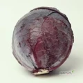 sprzedam kapustę czerwoną waga około 0,8-1,8 kg . mile widziany obecnie odbiór własny. szczegóły pod tel.