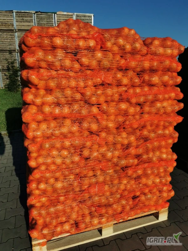 /images/posts/2025/06/2026923/oIPIeNs7CxMUG0JdfR7DWZ1o6FQXqu9vXVFfC4oD.jpeg