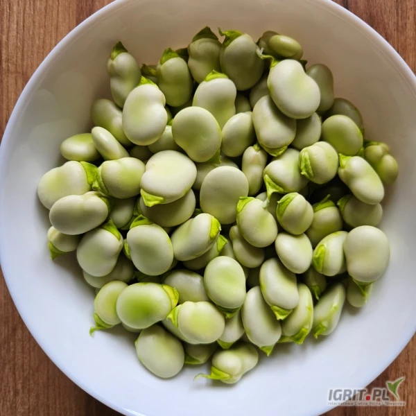 /images/posts/2025/06/2026946/PEV1q2xkTK38sAfUClAkVW99GbSnTRGfnndKlDzB.jpeg