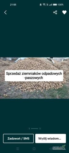 /images/posts/2024/11/1935807/8o7PXeWHRzCMQdlAN0lb3WNmmFG53uHvwcRm4Z0V.jpeg