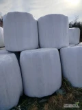 Sprzedam bale kiszonki z lucerny, zeszłoroczne.
