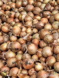 Sprzedam cebulę do obierania import cena 400zl/tona z dostawą całkowity odpad przy obieraniu około 25% 
