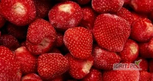 /images/posts/2025/06/2027299/OmOaOmw2A2t0RTvhgBLvzpPMxnuaU8jFPvRZaCOW.jpeg