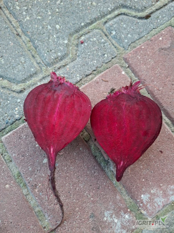 /images/posts/2025/06/2027374/8NOUf2Eforxs3hqL4Tlv8GPPInypX94J4X0S9kel.jpeg