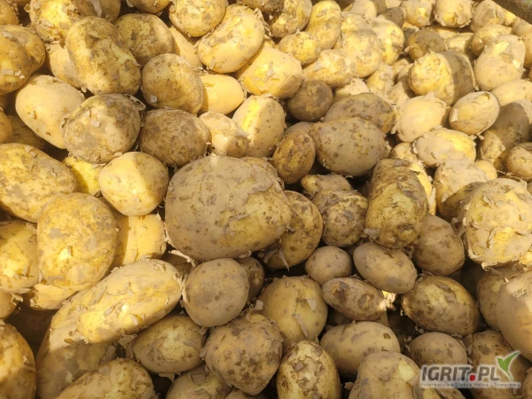 /images/posts/2025/06/2027444/qTK6zuTy4jL6X9Kj8lfpBDxIkmlpQtUQAmzBUUXZ.jpeg