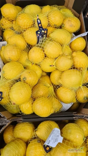 /images/posts/2025/03/1992603/FzlvV9hBq5walYjNJRbh3zCJV0P5tq8CJcnyUQV4.jpeg